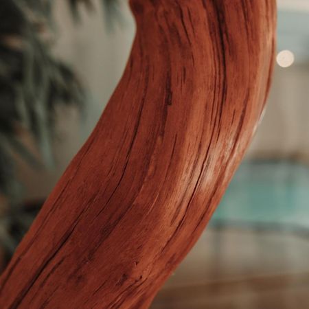 Residence Hotel Alpinum 캄포투레스 외부 사진